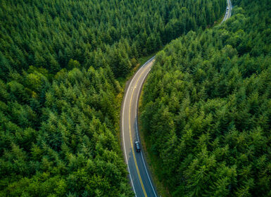 Driving Through Forest – Aerial View